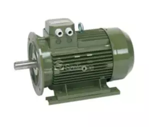 saer-szivattyu-motor-1